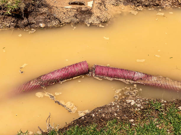 Best Basement water damage restoration  in USA